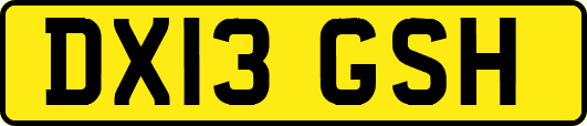 DX13GSH