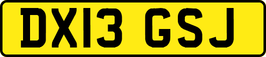 DX13GSJ