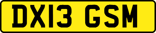 DX13GSM