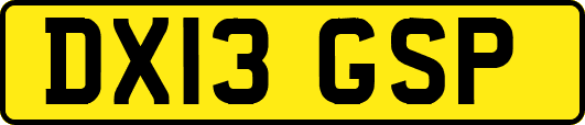 DX13GSP