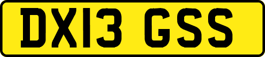 DX13GSS