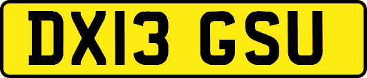 DX13GSU