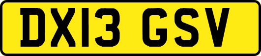 DX13GSV