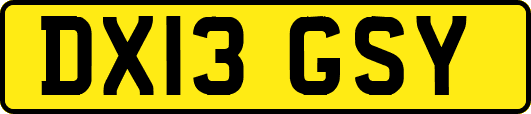 DX13GSY