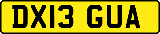 DX13GUA