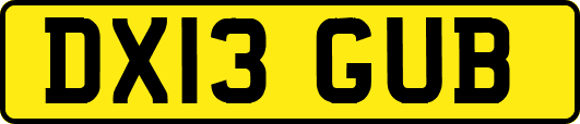 DX13GUB