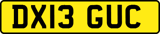 DX13GUC