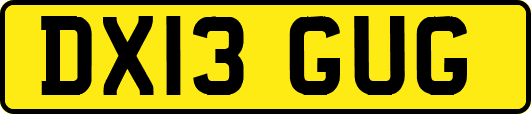 DX13GUG