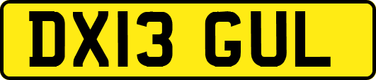 DX13GUL