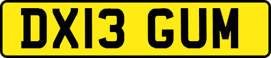 DX13GUM
