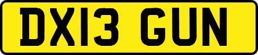 DX13GUN