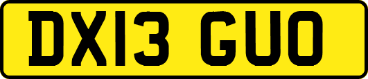 DX13GUO