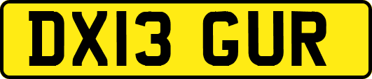 DX13GUR