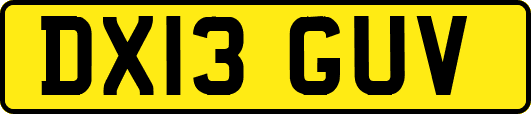 DX13GUV