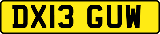 DX13GUW