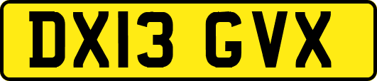 DX13GVX