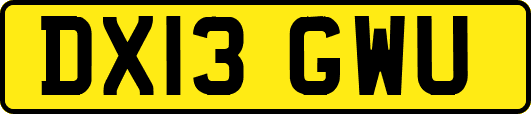 DX13GWU