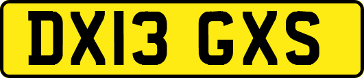 DX13GXS