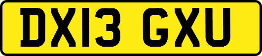 DX13GXU