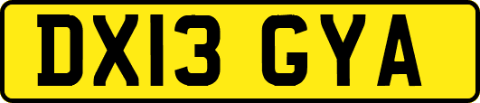 DX13GYA