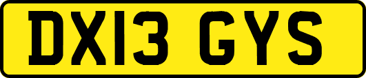 DX13GYS