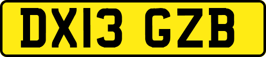 DX13GZB