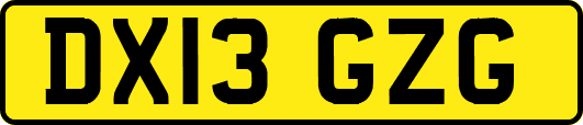 DX13GZG