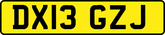 DX13GZJ