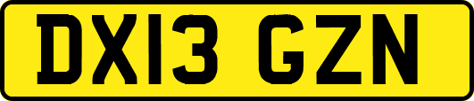 DX13GZN