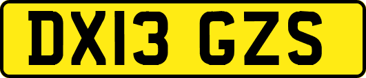 DX13GZS