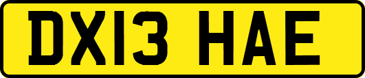 DX13HAE