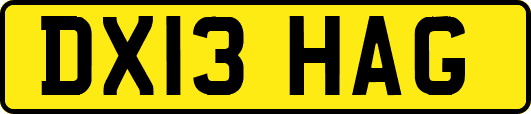 DX13HAG