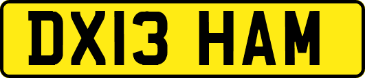 DX13HAM