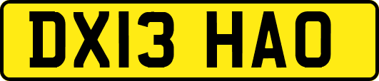 DX13HAO