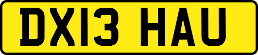 DX13HAU