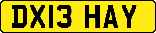 DX13HAY