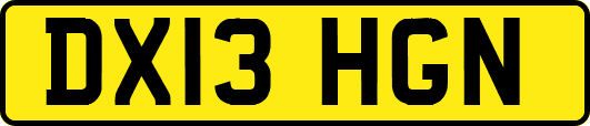 DX13HGN
