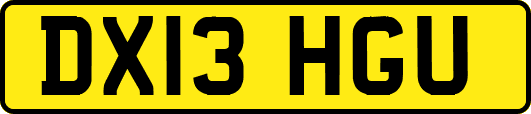 DX13HGU
