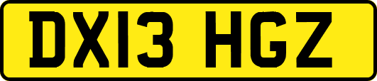 DX13HGZ