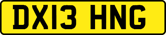 DX13HNG