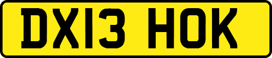 DX13HOK