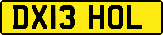 DX13HOL