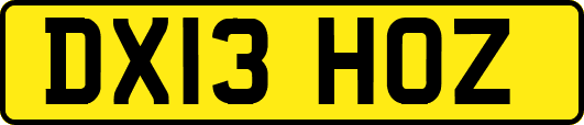 DX13HOZ