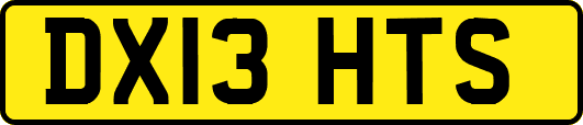 DX13HTS