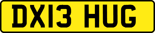 DX13HUG