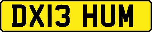 DX13HUM