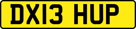 DX13HUP