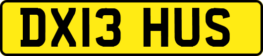 DX13HUS