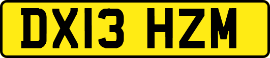 DX13HZM
