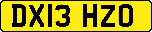 DX13HZO